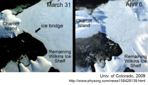 Wilkins Ice Shelf Bridge Collapse